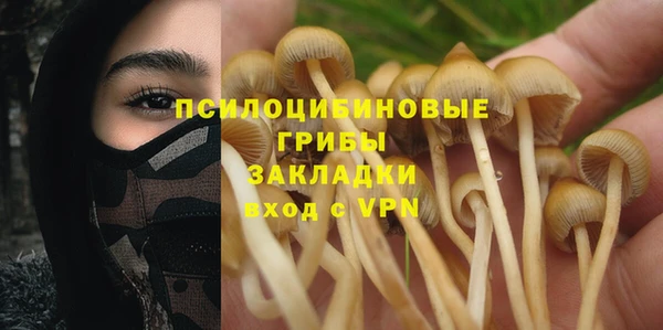 МДПВ Липки