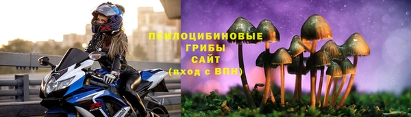 МДПВ Липки