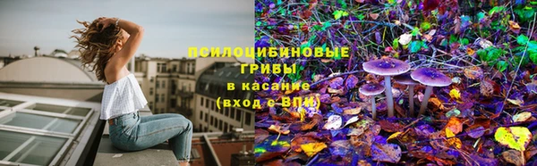 гашишное масло Ладушкин